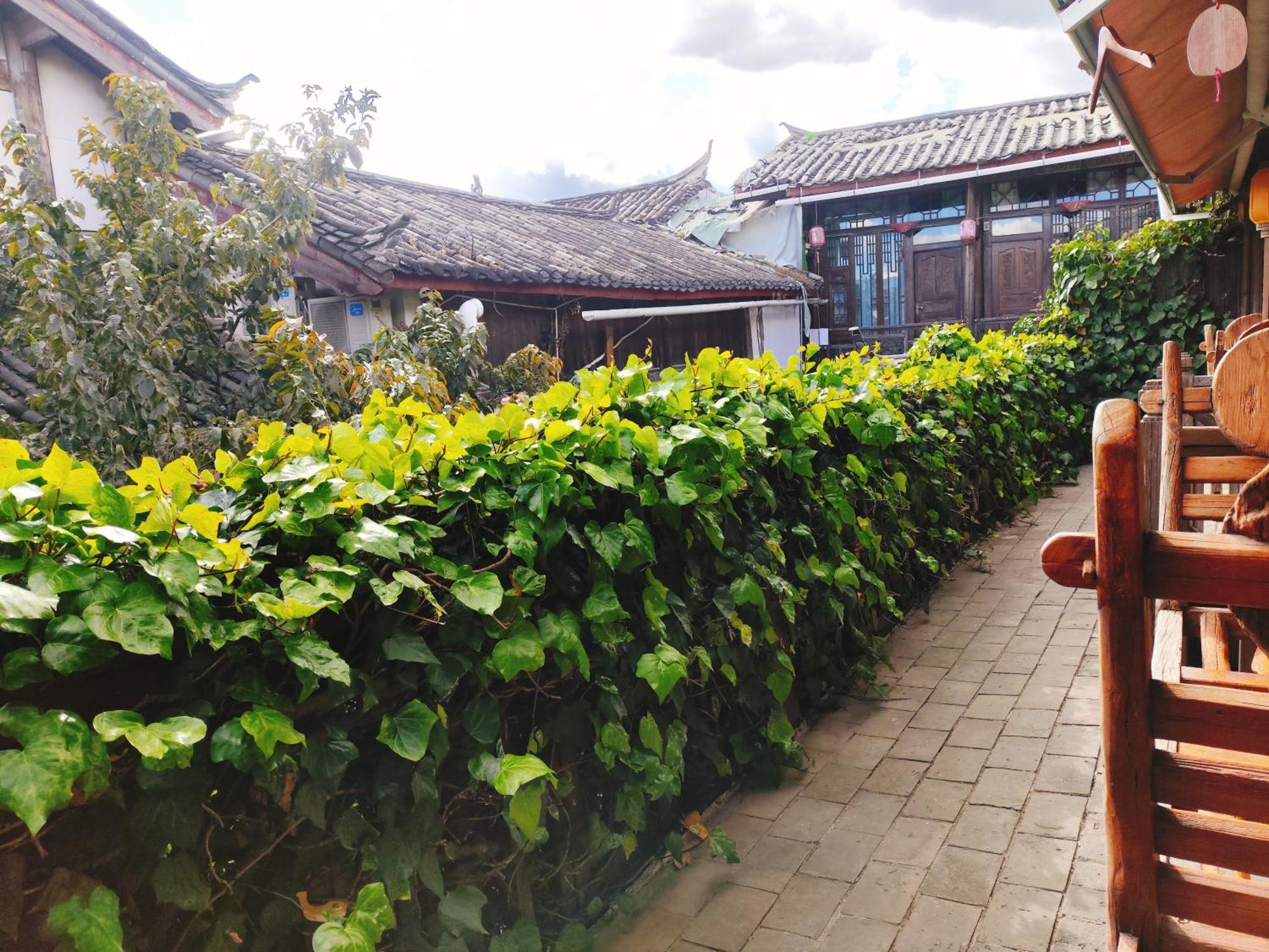 Big Tree Guesthouse - Naxi Old Style Lijiang (Yunnan) Exterior foto